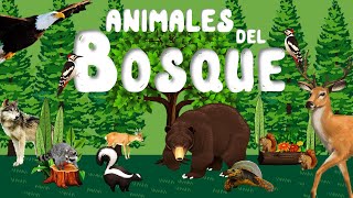 Animales del Bosque para niños  Sonidos de animales  Videos educativos  LeoFunTv [upl. by Nosnirb713]