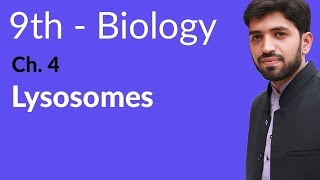 9th Class Biology  Chapter 4  Lysosomes [upl. by Zingg291]