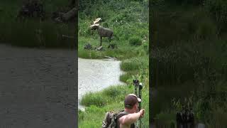 Extremely Far Compound Bow Shots at Total Archery Challenge on a MOOSE Guess the yardage [upl. by Nymrak]