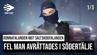 FEL MAN AVRÄTTADES I SÖDERTÄLJE  RONNAFALANGEN MOT SALTSKOGFALANGEN  DEL 13 [upl. by Leid383]