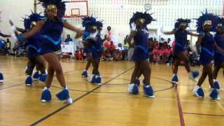 IRS Drill Team [upl. by Leiuqese268]