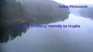 Wędkarstwo gruntowe Łowienie sandaczy na trupka przygotowanie zestawu Pilchowice Zander Fishing [upl. by Esertal]