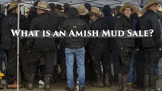 What is an Amish Mud Sale [upl. by Ainolloppa]