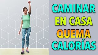 30 Min Entrenamiento para Quemar Grasa  Caminata en Casa Queme Más de 250 Calorías [upl. by Cheria]