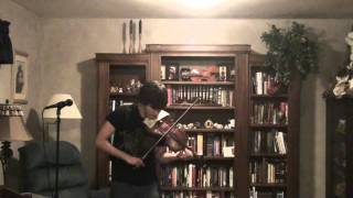 Through the Fire and Flames  Metal Violin Cover [upl. by Ynnav]