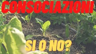 LE CONSOCIAZIONI NELLORTO SI O NO quali ortaggi consociare  come è andato lorto biointensivo [upl. by Sixela677]