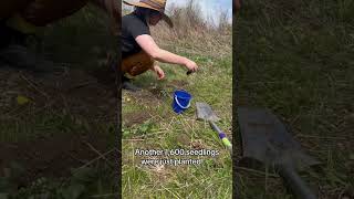 Indigenous Meadow at Lakeridge Healths Ajax Pickering Hospital [upl. by Ynnavoj]