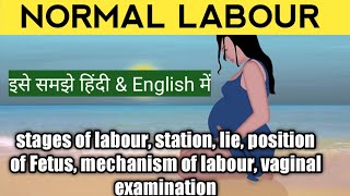 Normal labour in Hindi Normallabourlecture Normaldeliverylecture प्रसवकेबारेमेंबताएं [upl. by Stine]