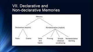 Cognition Lecture 5 1 Introduction to Longer Term Memories [upl. by Anytsirk]