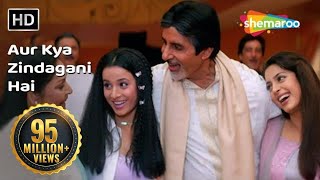 Aur Kya Zindagani Hai I HD  Ek Rishtaa The Bond Of Love Song  Amitabh Bachchan  Rakhee [upl. by Diann41]