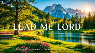 LEAD ME LORD  Instrumental Worship amp Prayer Music With Scriptures amp Nature 🌿 CHRISTIAN piano [upl. by Gerrit]