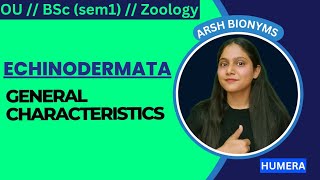 ECHINODERMATA  GENERAL CHARACTERISTICS  BSc ZOOLOGY  Osmania University  humera [upl. by Kaazi285]