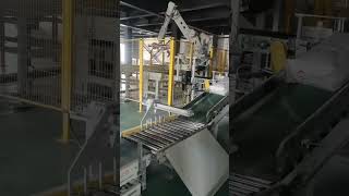 Fully automatic packaging line [upl. by Tillie975]