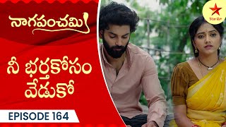 Naga Panchami  Episode 164 Highlight  Telugu Serial  StarMaa Serials  Star Maa [upl. by Ardnosac441]