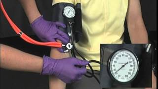 EMS Skills  Blood Pressure Measurement [upl. by Ilagam]