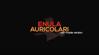 Enula  Auricolari selfmade version [upl. by Hyland]