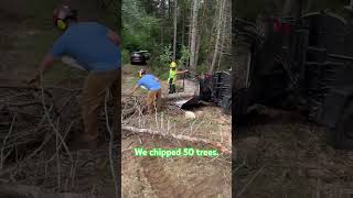 Chipping in machiasport maime treeremovalservices excavator treeremoval logging treeservice [upl. by Eizzo]