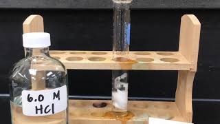 Magnesium and Calcium reacting with Hydrochloric Acid 1 [upl. by Carmen262]