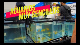 MERCADO DE PECES EN RAP 4K😱 [upl. by Lehcem516]