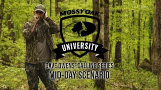 Dave Owens’ Turkey Calling Tips MID DAY SCENARIO [upl. by Weeks]