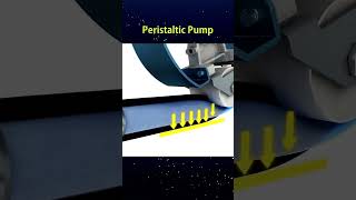 Peristaltic Pump alittleknowledge shorts [upl. by Yadnil8]