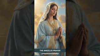 THE ANGELUS PRAYER 2024 [upl. by Hartzel269]