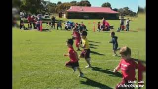 Addison Park Merriwa Primary School Tornado Siren [upl. by Showker]