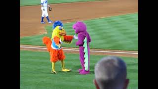 Famous Chicken battles Barney in a danceoff [upl. by Clere]