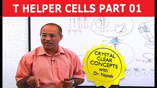 T Helper Cells  Immunology  Part 110 [upl. by Dahsraf]