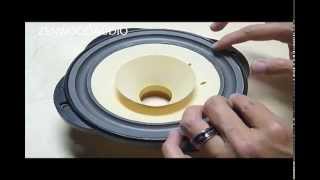 How To Replace Lowther Speakers Foam Surround and Spider [upl. by Araminta]