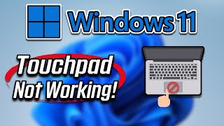 How To Fix Touchpad On Windows 11 Tutorial [upl. by Goodden]