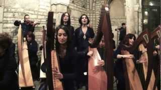 Game of Thrones  Celtic Harp Orchestra [upl. by Vokaay]