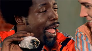 Afroman  Because I Got High  Remastered  4K  51 Surround [upl. by Puklich420]