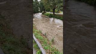 Hochwasser Lage aktuell angespannt Dauerregen Regen Starkregen Unwetter Überschwemmung jetzt Wien NÖ [upl. by Dwaine793]