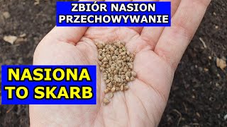 Gromadź Nasiona Zwiększ Niezależność Jak Zbierać i Przechowywać Nasion Warzyw Nasiona F1 Pomidory [upl. by Ohaus]