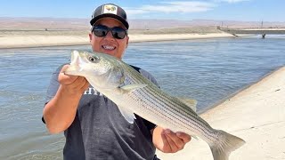 California Aqueduct striper bass fishing in Kern County 82023 fishingboyzoutlawz Fish 🐠 ON [upl. by Affrica]