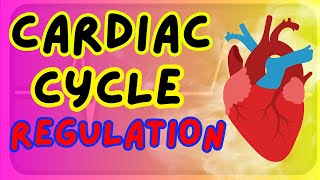 Regulation of Cardiac Rate  HCN Channels Exercise Chronotropic Effect [upl. by Newbill28]