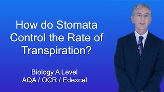 A Level Biology Revision quotHow do Stomata Control the Rate of Transpirationquot [upl. by Elwin769]