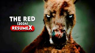 UM KANGURU ZUMBI APARECEU NA AUSTRALIA  THE RED2024 RESUMO FILME COMPLETO  RESUMEX [upl. by Enelkcaj]