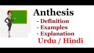 What is Anthesis DefinitionExamples Urdu  Hindi [upl. by Cleres950]