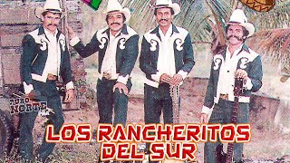 Los Rancheritos Del Sur  15 Exitos Canciones y Corridos Album Completo [upl. by Idnic]