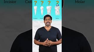 பல் இல்லாத பொழுது கிளிப் செய்யலாமா Ortho treatment and missing teeth DrKarthikeyan [upl. by Aydiv]