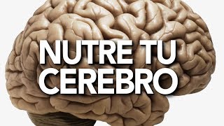 Problemas de salud mental y nutrición para el cerebro [upl. by Nnaillij]