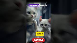 Father cat kidnaps his young son meow meow song sad story cat cartoon on youtube [upl. by Nemzzaj]