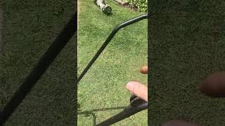 Aussie “Little Bob” Superswift Lawn Mower with Briggs Stratton vertical pull [upl. by Rasla]