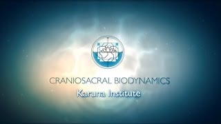 An introduction to Craniosacral Biodynamics [upl. by Keeton195]