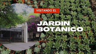 Jardín Botánico Plan de la laguna El Salvador Tours EXPLORACIÓN [upl. by Enneirdna]