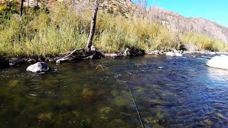 Nymphing the N Fork Feather river Middle of October [upl. by Slavin]