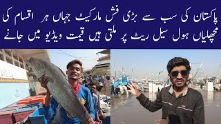 Biggest Fish Market in Karachi  Wholesale Fish Price amp Info  Karachi Fishery [upl. by Zipporah111]