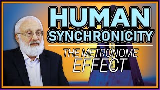 Human Synchronicity The Metronome Effect [upl. by Bernardina]